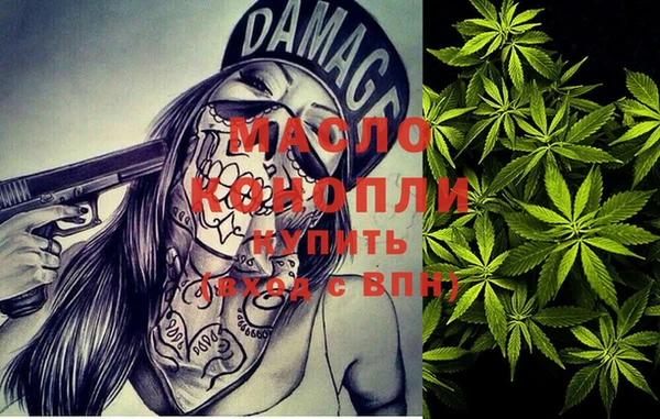 гидропоника Каменка
