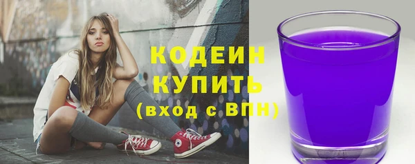 хмурый Каменногорск