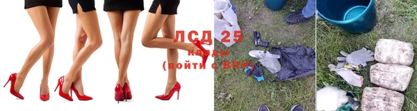 хмурый Каменногорск