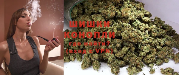гидропоника Каменка