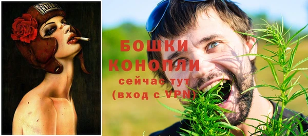 хмурый Каменногорск
