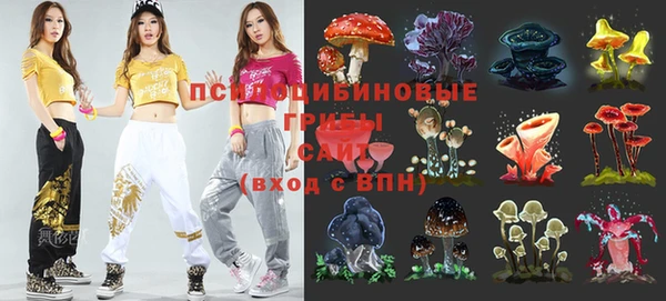 гидропоника Каменка