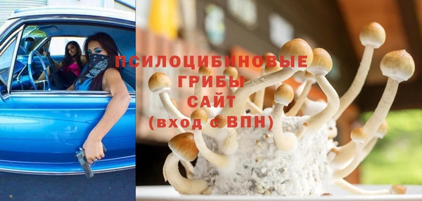 хмурый Каменногорск