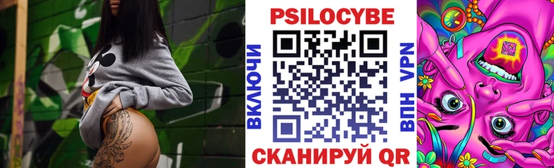 Галлюциногенные грибы Magic Shrooms  Купить где  Ачхой-Мартан 